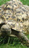 The Tropical Zoo photo The Tropical Zoo photo