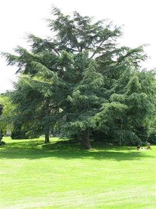 Gunnersbury Park