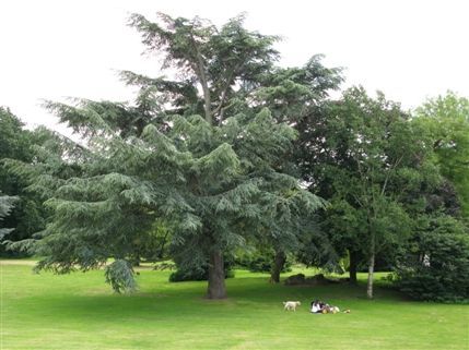 Gunnersbury Park