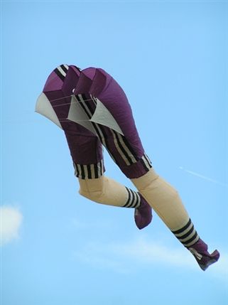 Blackheath Bike and Kite Festival