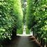 Kew Palace