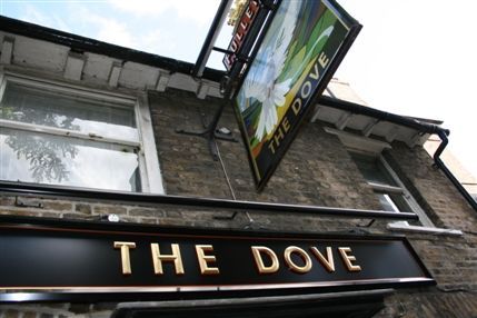 The Dove The Dove