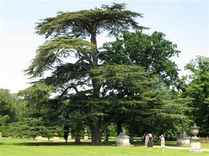 Chiswick House