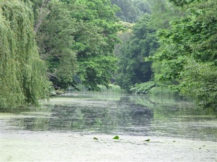 Syon Park Syon Park