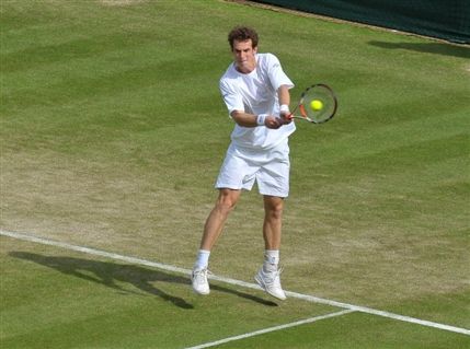 Wimbledon Lawn Tennis Championship