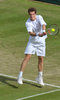 Wimbledon Lawn Tennis Championships 2019 Wimbledon Lawn Tennis Championships 2019