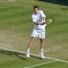 Wimbledon Lawn Tennis Championship