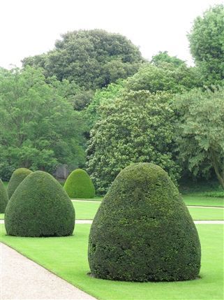 Syon Park Gardens