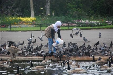 Regent's Park - Regent's Park