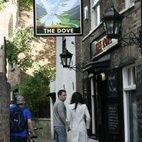 The Dove hotels title=