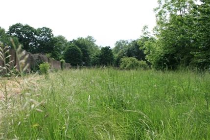 Fulham Palace Gardens