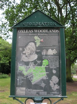 Oxleas Woods