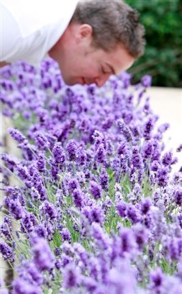 RHS Chelsea Flower Show - Photo by Jon Enoch/RHS