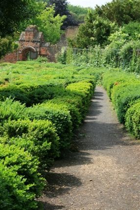 Fulham Palace Gardens