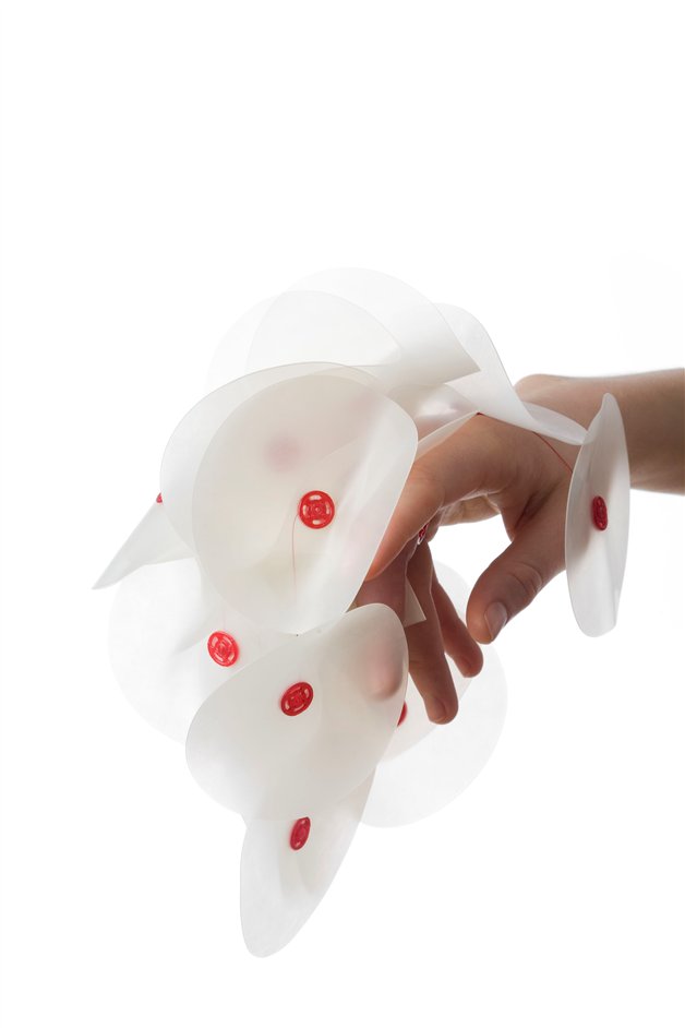 Unexpected Pleasures - Camilla Prasch, Mega, 2009