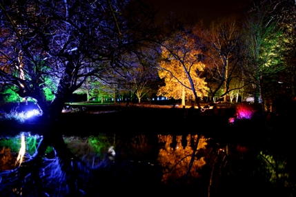 The Enchanted Woodland The Enchanted Woodland