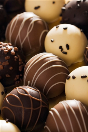 The Chocolate Festival