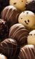 The Chocolate Festival The Chocolate Festival