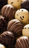 The Chocolate Festival photo