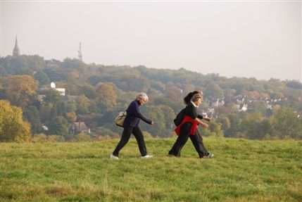 Hampstead Heath - Hampstead Heath Walkers Hampstead Heath - Hampstead Heath Walkers
