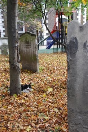 St Mary's Church, Rotherhithe - St Mary's Rotherhithe Churchyard