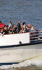 Thames Cruises photo