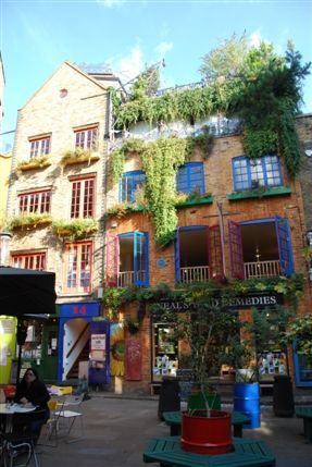 Livonia Street - Neals Yard Remedies Livonia Street - Neals Yard Remedies