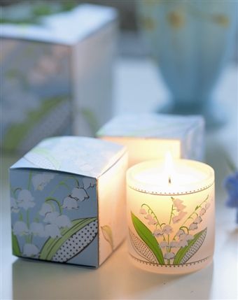 Designers Guild