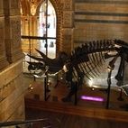 Natural History Museum