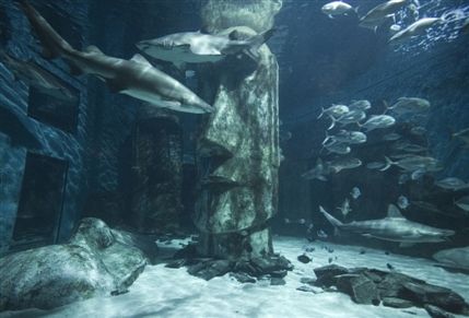 Sea Life London Aquarium