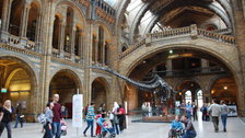 Natural History Museum