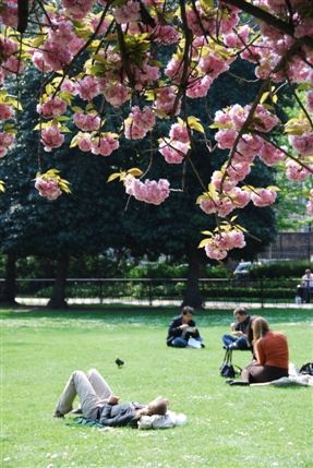 Lincoln's Inn Fields - Lincoln's Inn Fields