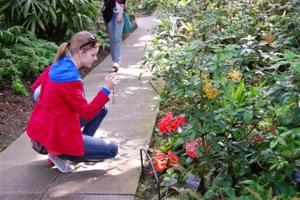 Kew Gardens (Royal Botanic Gardens) - Kew Gardens Kew Gardens (Royal Botanic Gardens) - Kew Gardens