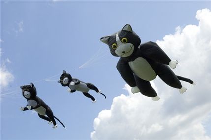 Blackheath Bike and Kite Festival