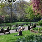 Lincoln's Inn Fields