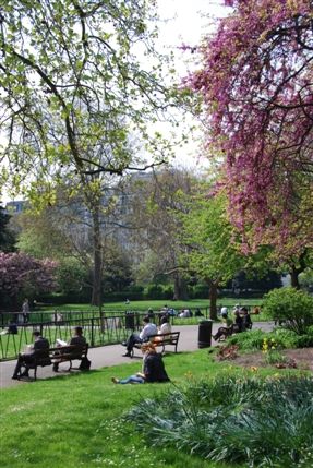 Lincoln's Inn Fields - Lincoln's Inn Fields