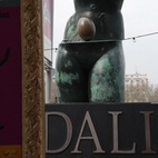 Dali Universe
