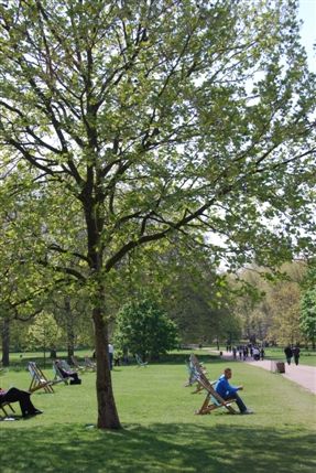 Green Park - Green Park