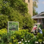 Kew Gardens (Royal Botanic Gardens)