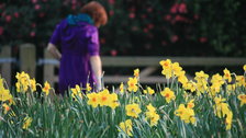 Words in the Park - Holland Park