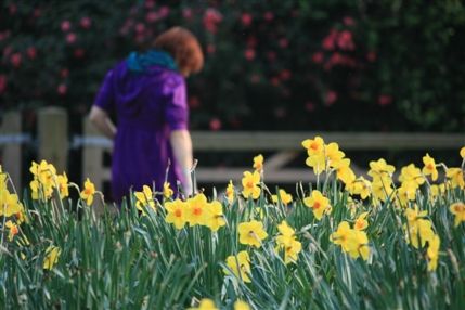 Holland Park