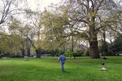 Lincoln's Inn Fields - Lincoln's Inn Fields