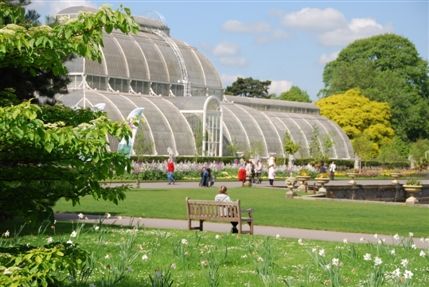 Kew Gardens (Royal Botanic Gardens) - Kew Gardens View Of The Palm Court Kew Gardens (Royal Botanic Gardens) - Kew Gardens View Of The Palm Court
