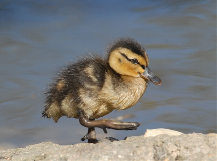 Easter egg-stravaganza! at London Wetland Centre