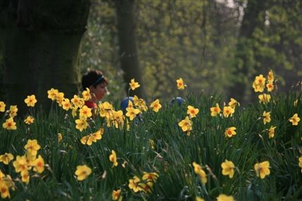 Holland Park