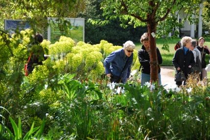 Kew Gardens (Royal Botanic Gardens) - Kew Gardens Kew Gardens (Royal Botanic Gardens) - Kew Gardens