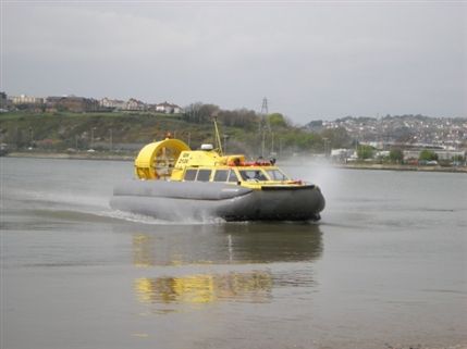 Flying Fish