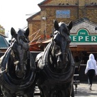 Camden Stables Market hotels title=