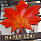 The Maple Leaf