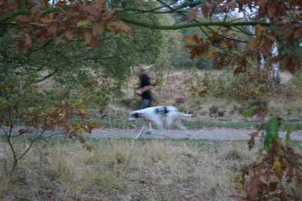 Wimbledon Common